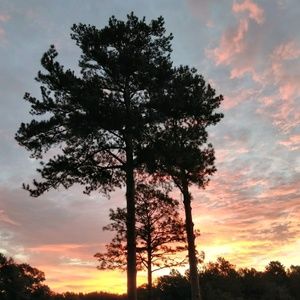 Meet your Posher, Jodi